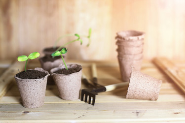 Similar image 13145651