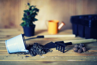 Similar image 13145670