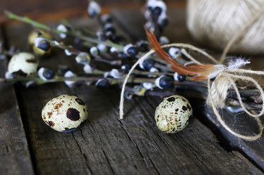 Similar image 13145592