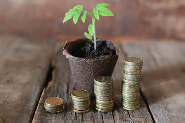 Similar image 13145773