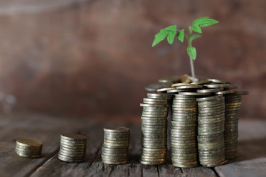 Similar image 13145774