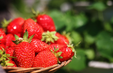 Similar image 13145731