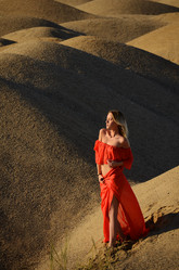 Similar image 13116322