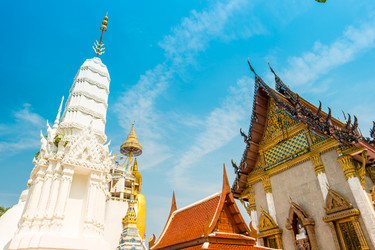 Similar image 13130096