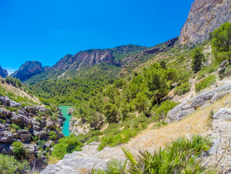 Similar image 13130156