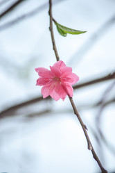 Similar image 13130952