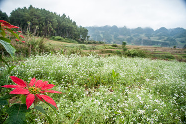 Similar image 13130954