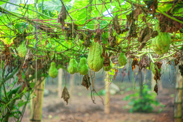 Similar image 13130974