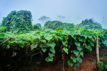 Similar image 13130997