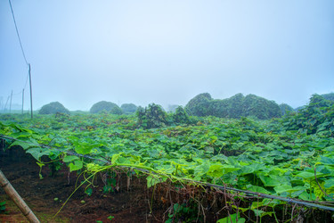 Similar image 13130998