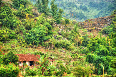 Similar image 13130999