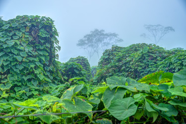 Similar image 13131000