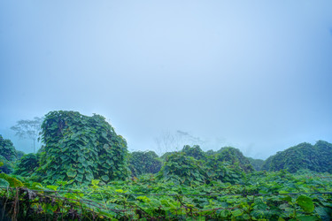 Similar image 13131018