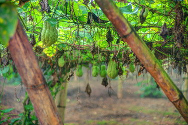 Similar image 13131020