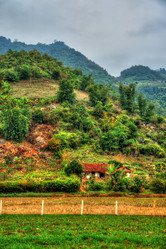 Similar image 13131034