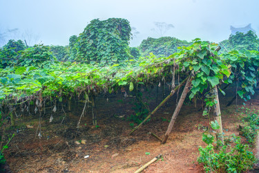 Similar image 13131035