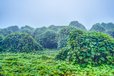 Similar image 13131036