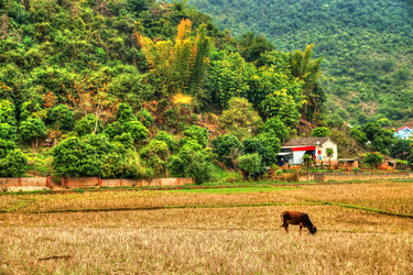 Similar image 13131037