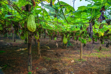 Similar image 13131038