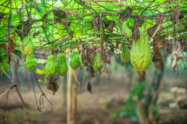 Similar image 13131040