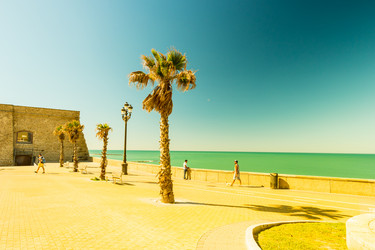 Similar image 13130451