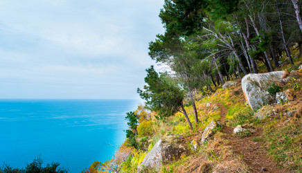 Similar image 13130469