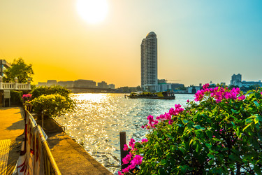 Similar image 13130546