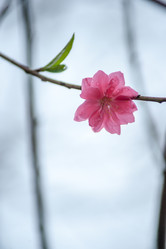 Similar image 13130365