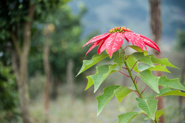 Similar image 13130388