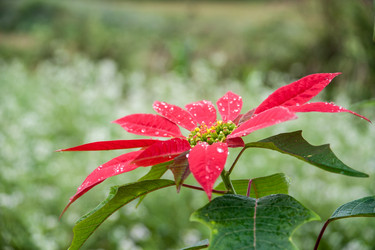 Similar image 13130410