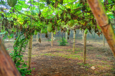 Similar image 13130488