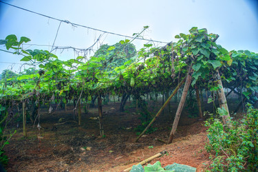 Similar image 13130530