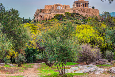 Similar image 13130548