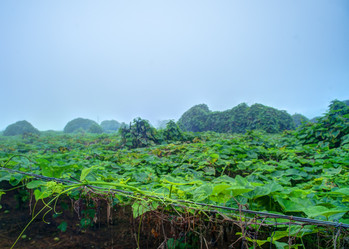 Similar image 13130551