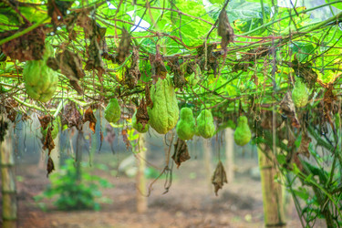 Similar image 13130564