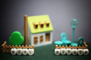 Similar image 13146225