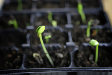 Similar image 13146262