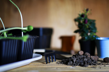 Similar image 13146564