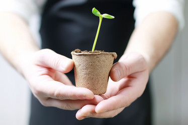 Similar image 13145918