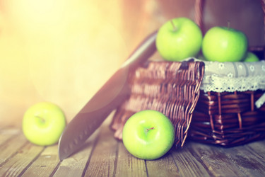 Similar image 13146627