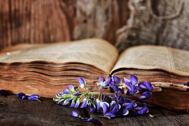 Similar image 13145599