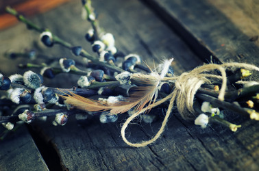 Similar image 13145820