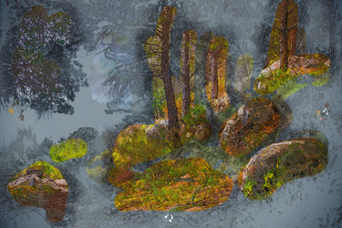 Similar image 13130307