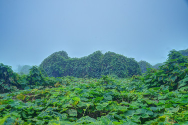 Similar image 13130323