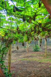 Similar image 13130348