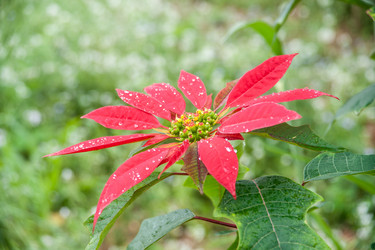 Similar image 13130349