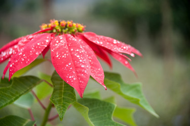 Similar image 13130372