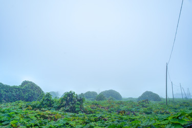 Similar image 13130414