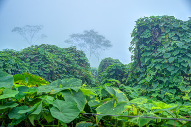 Similar image 13130416