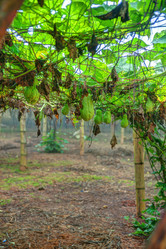 Similar image 13130433